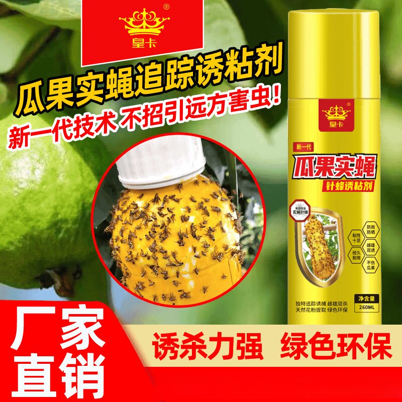 【家用杀虫剂】瓜果实蝇诱粘剂驱虫针蜂果实蝇引诱剂诱捕剂诱蝇神