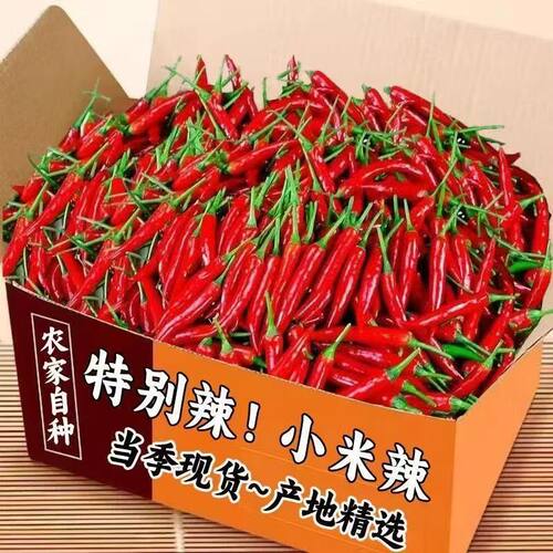 小米辣椒9斤(精选爆辣强烈推荐)