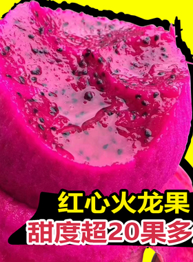 海南金都红心大火龙果新鲜一整箱 红色肉蜜宝当季超甜水果5斤包邮