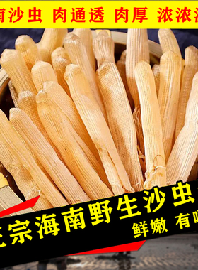 海南陵水特产大号沙虫干货100g干沙虫已去沙袋拍5份500g顺丰包邮
