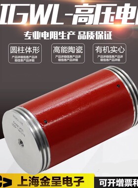 RIGWL 33KJ 60R 高能均压高压陶瓷软启动电阻RIGWL 100W 200KJ