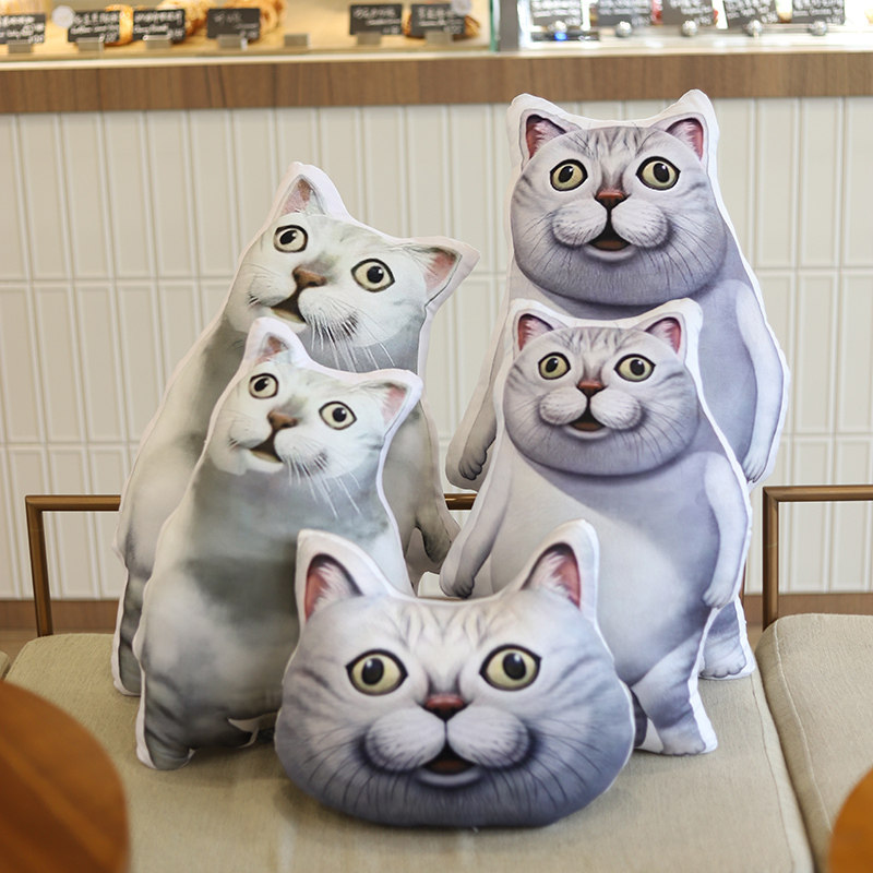 搞怪新宝岛mur沙雕猫抱枕表情包毛绒玩具奇怪知识玩偶