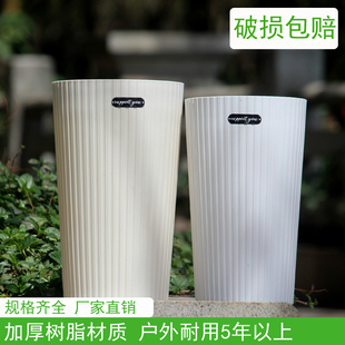 无孔水培加高高筒塑料花盆室内大号简约绿植天堂鸟富贵竹万年青盆