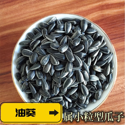 1-5斤油葵瓜子现炒生熟原味油葵562小油葵散装内蒙新货零食向日