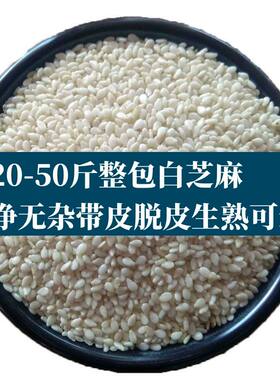 20-50斤白芝麻生熟油芝麻芝麻仁汤圆馅扎糖大芝麻球糕点商用