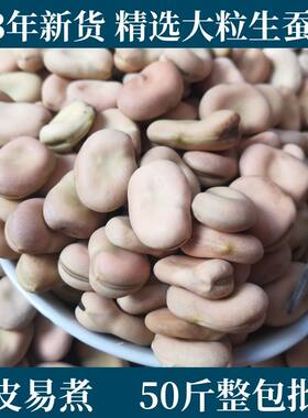 20-50斤批发新货大颗粒干蚕豆新干新鲜白粒大白胡豆生干白皮蚕豆