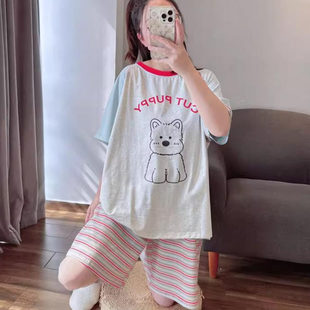 宽松家居服套装 韩版 纯棉可外穿网红风大码 睡衣女夏天短裤 ins短袖