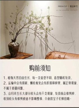 山归来鲜切枝蔷薇果干花水培