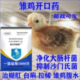 Куриная булочка курица байджи куриная курица куриная сальмонелла кокк курицы курица тяговая куриная пургически анальная курица с курицей вздутие живота вздутие живота вздутие живота