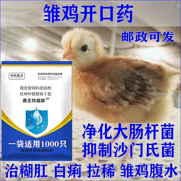 Товары от 卖完回家种田