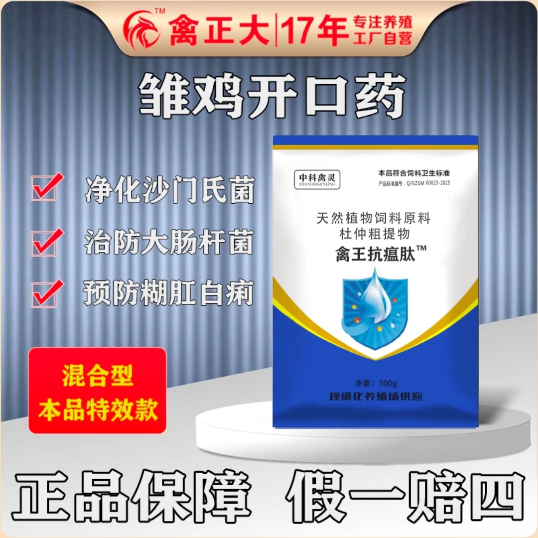 雏鸡开口药鸡白痢雏鸡沙门氏菌大肠杆菌鸡希便鸡糊肛鸡腹胀鸡胀气