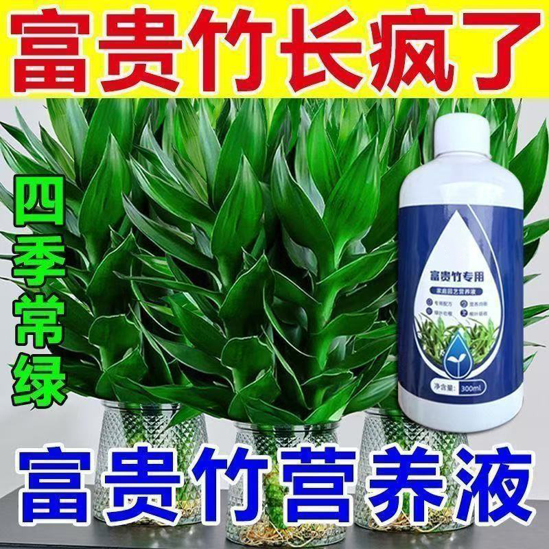 正品爆款富贵竹营养液水培植物专用肥料竹子家用专治黄叶养花通用