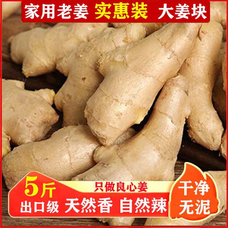 山东大姜鲜生姜老姜无残留新鲜当年现挖姜母月子姜出口级姜块5斤3