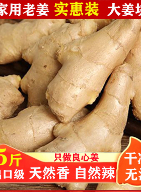 山东大姜鲜生姜老姜无残留新鲜当年现挖姜母月子姜出口级姜块5斤3
