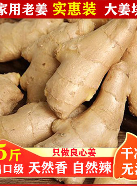 山东大姜鲜生姜老姜无残留新鲜当年现挖姜母月子姜出口级姜块5斤3