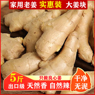 山东大姜鲜生姜老姜无残留新鲜当年现挖姜母月子姜出口级姜块5斤3