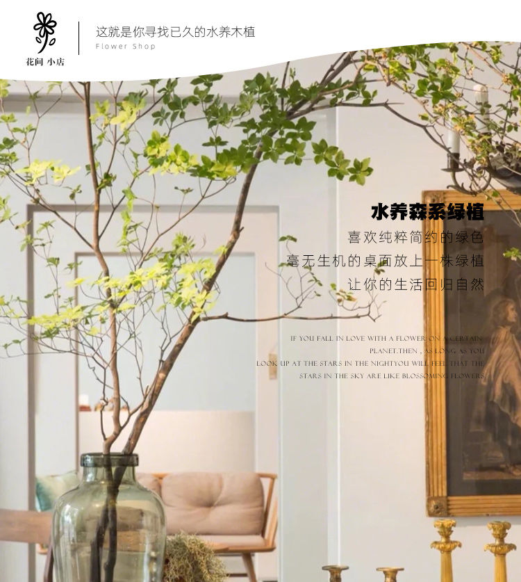 日本新款加湿水养植物家居装饰