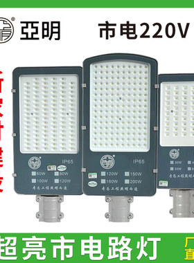 亚明led路灯头220V户外防水室外小区新农村挑臂庭院家用市政灯杆