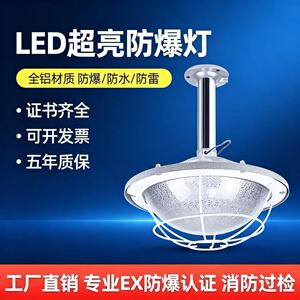地雷灯LED防爆照明灯50W加油站