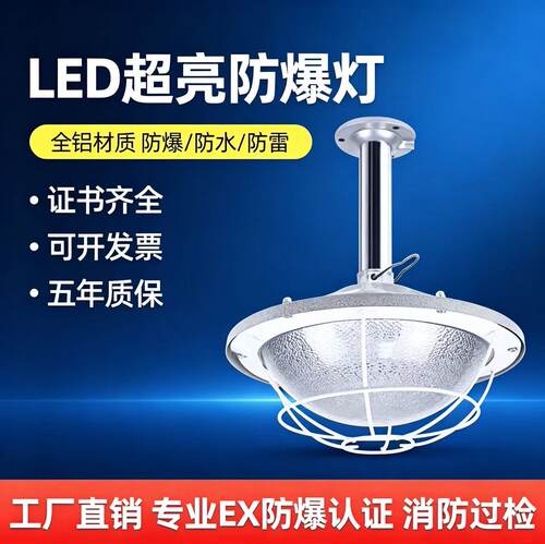 地雷灯LED防爆照明灯50W加油站