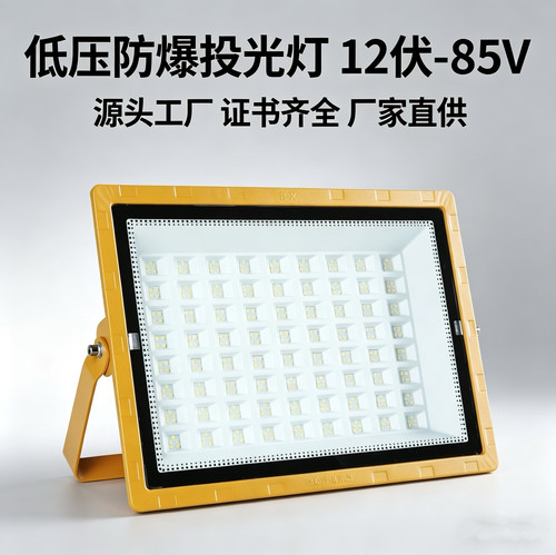 12V-85VLED防爆防水投光灯