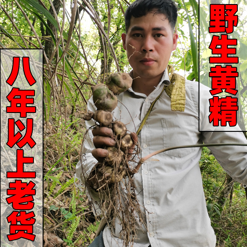 新鲜野生黄精1000g 肉又甜滇黄精鸡头黄精参老虎姜 姜型多花红花