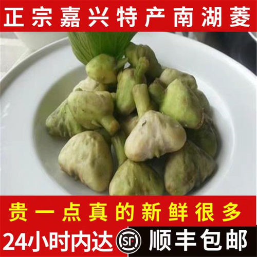 【顺丰包邮】南湖菱当天现摘现发