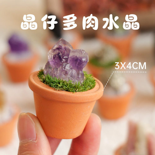 水晶原石盆栽摆件创意天然水晶宝石矿物标本桌面微景观陶盆工艺品