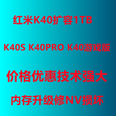 K40扩容容量1TB只要515