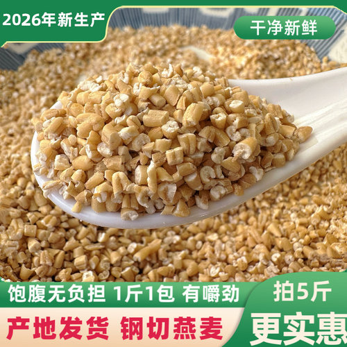 2026年钢切燕麦新货燕麦粒代餐