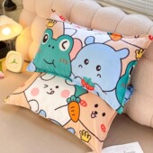 卡通枕套一对装 成人家用枕头套学生宿舍一只48 四季 通用信封款