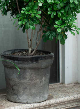 宽边口盆红陶花盆景ins风简约透气兰花创意个性粗陶瓦盆盆栽专用