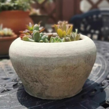粗陶多肉花盆法师花盆陶土复古艺术小花盆户外阳台君子兰绣球苔藓