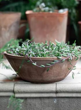 碗盆粗陶瓦盆复古多肉植物花盆创意盆泥土盆素烧创意土陶大花盆