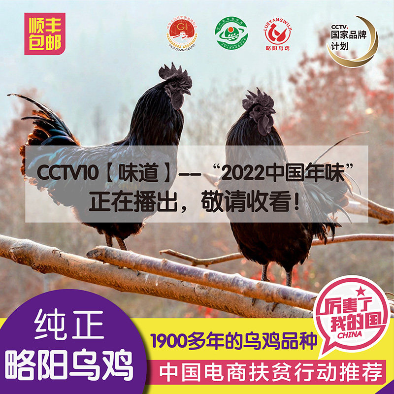 乌鸡略阳黑鸡山林放养乌骨鸡月子鸡土黑河乌鸡农家散养冷鲜鸡公鸡