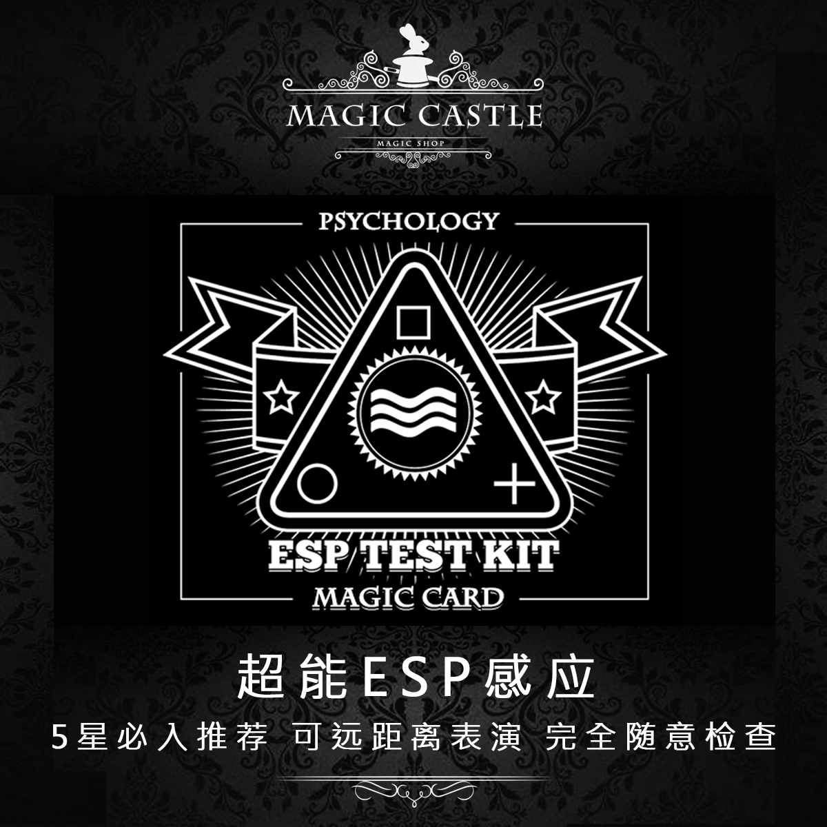 心灵ESP卡片魔术道具无需手法