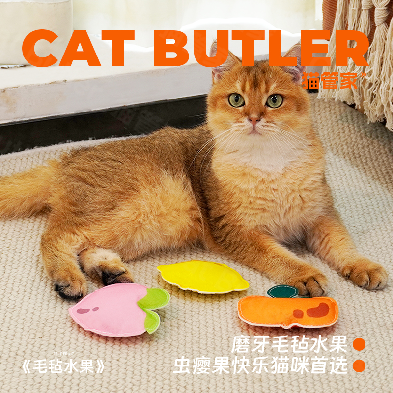 猫玩具虫瘿果毛毡磨牙玩具