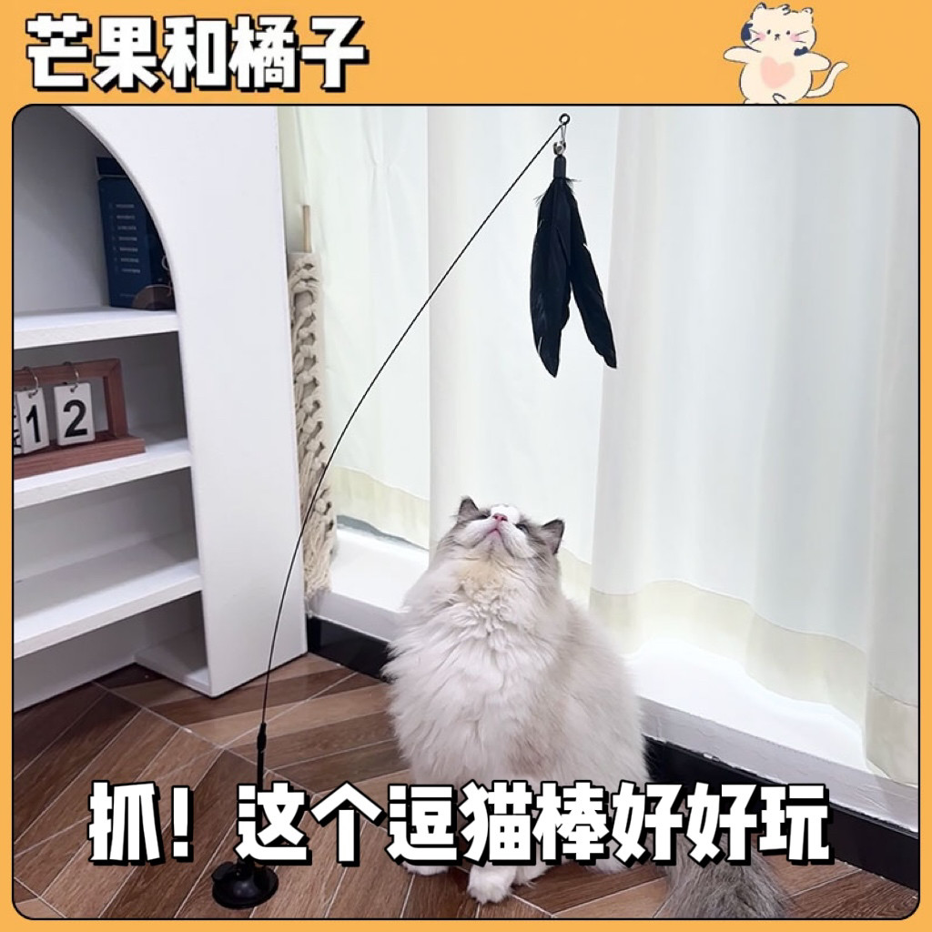 强力吸盘懒人自动逗猫棒图片