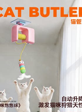 猫咪悠悠球自动逗猫玩具球