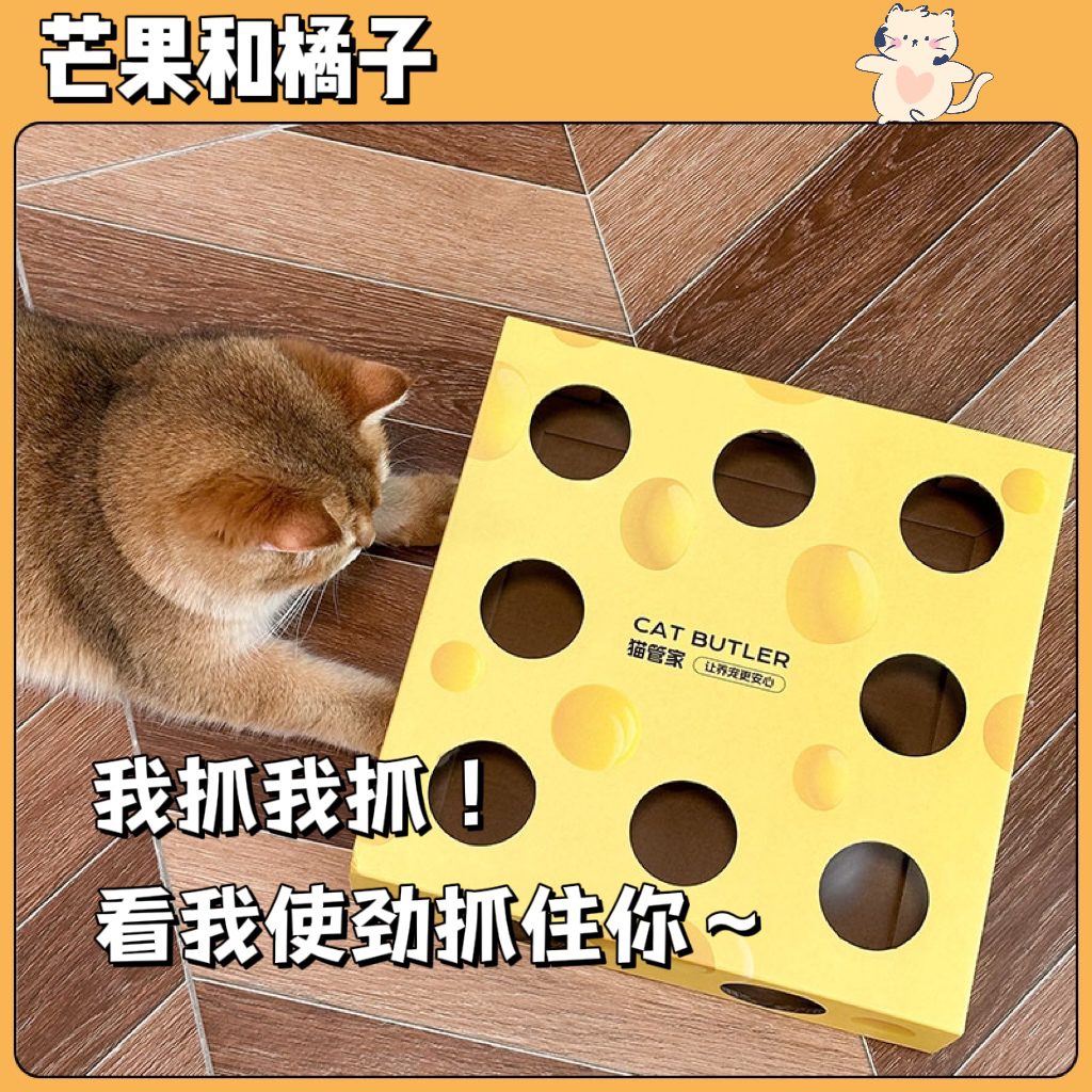 猫管家奶酪盒猫玩具自嗨消耗体力