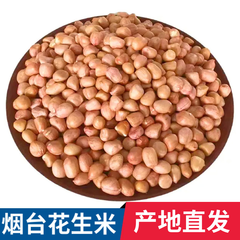 新鲜花生米大颗粒白沙农家生花生仁精选烟台大花生去壳榨油批发