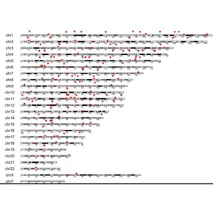 GEO数据挖掘 R语言代码 蛋白组学 转录组学 TCGA数据 脚本整理总结