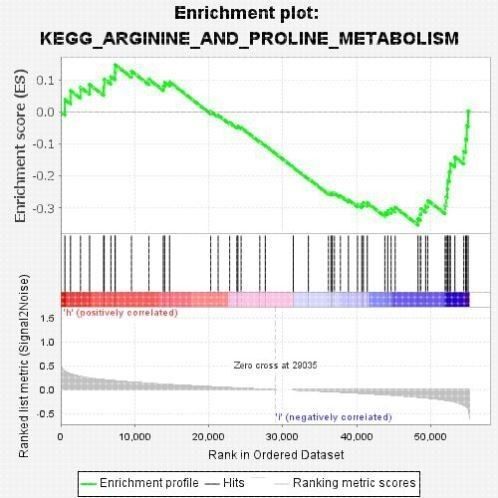 GEO及TCGA数据GSEA分析,预测新靶点富集功能.