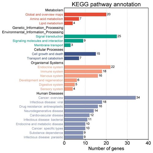 相关性热图交互式Mantel test相关性热图随机森林SCI作图