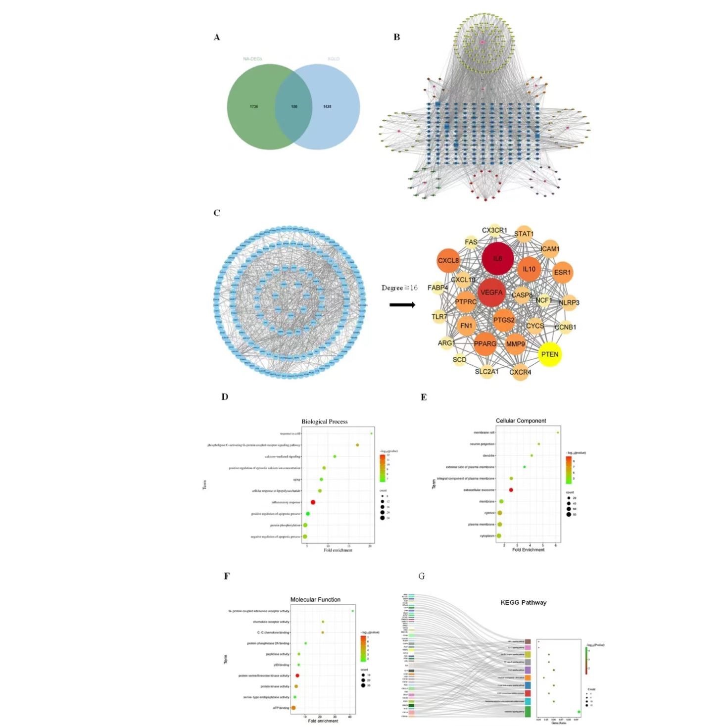 2024年 科尼尔 全行业分析报告市场趋势前景分析数据分析报告合集