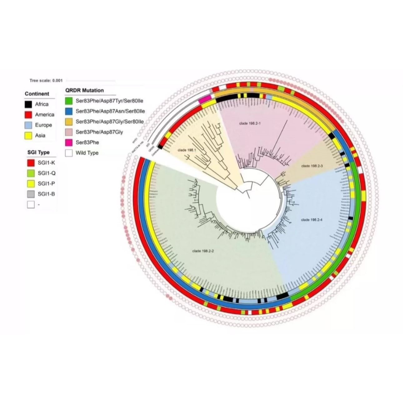 细胞浸润  TCGA/GEO数据 单细胞转录组 多组学分析