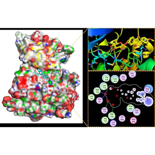 分子对接 共价对接 批量虚拟筛选 蛋白与蛋白 DNA/RNA-蛋白 柔性