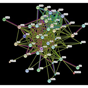 [转录组分析]生物性状差异表达/基因上调下调分析