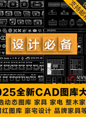 2025最新室内全案设计家装工装cad图库动态图块网红家具沙发立面