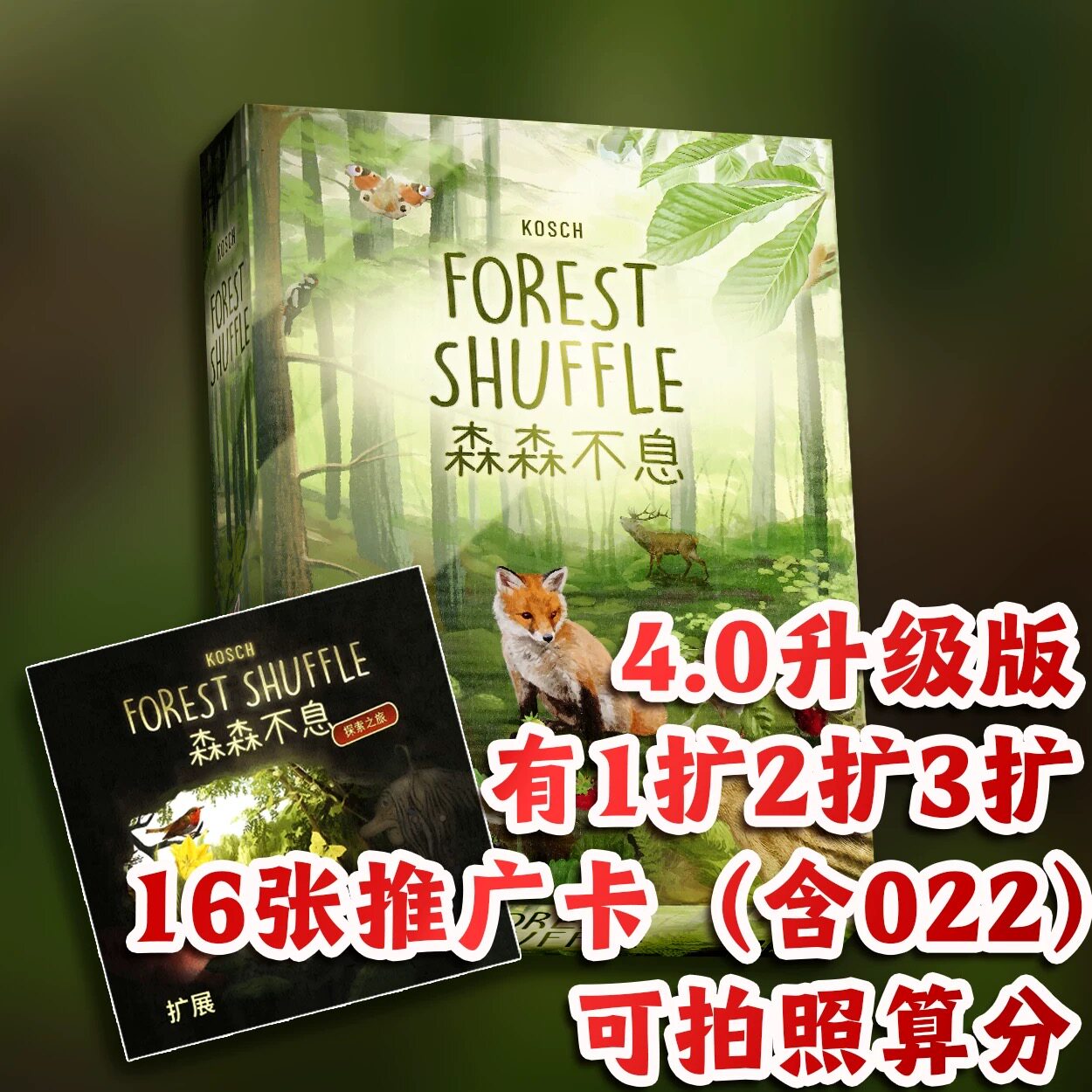 ［森森不息4.0］123扩多人聚会卡牌游戏休闲趣桌游Forest Shuffle